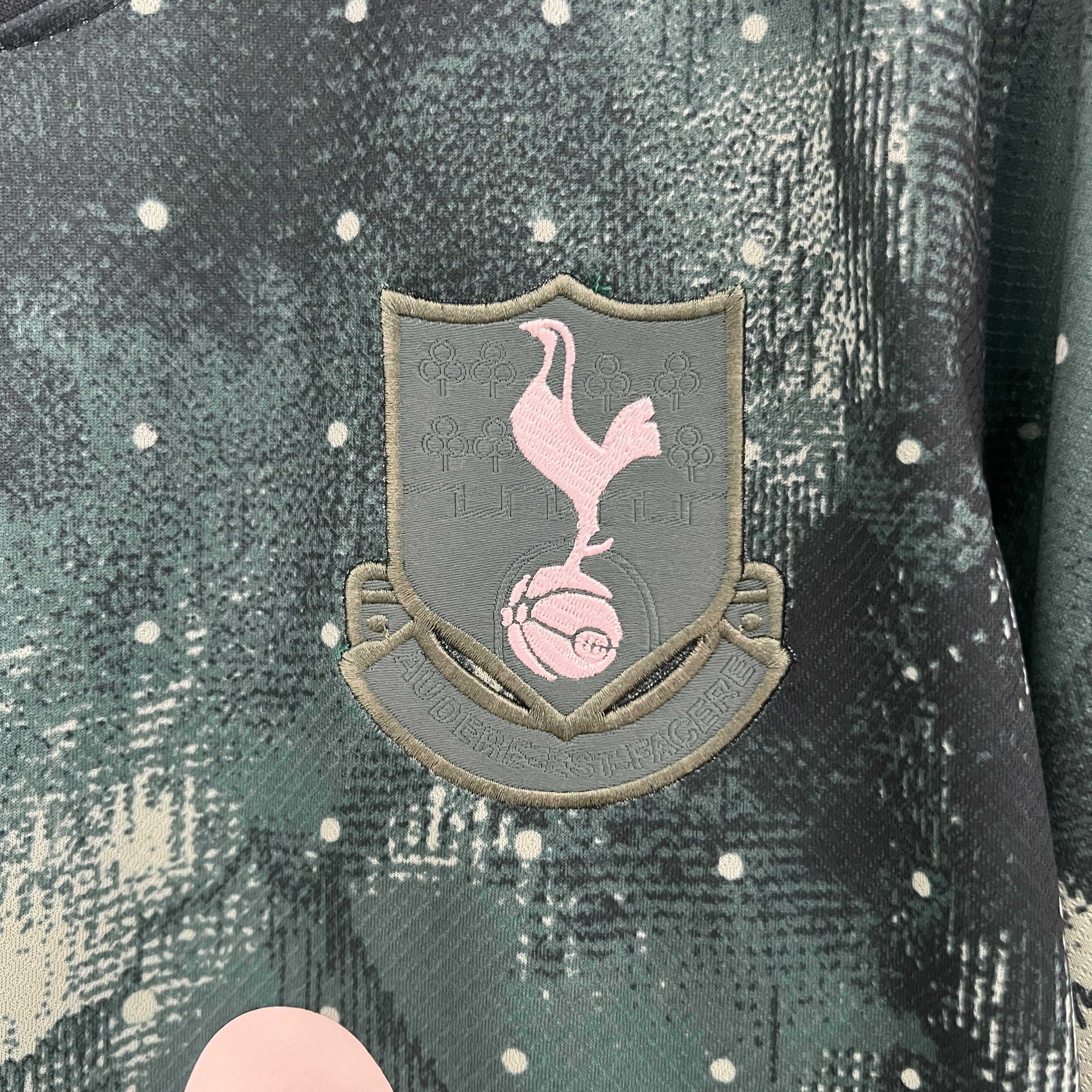 Tottenham Hotspur 2024/25