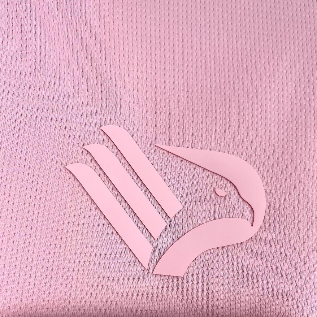 Palermo F.C. 2025/26