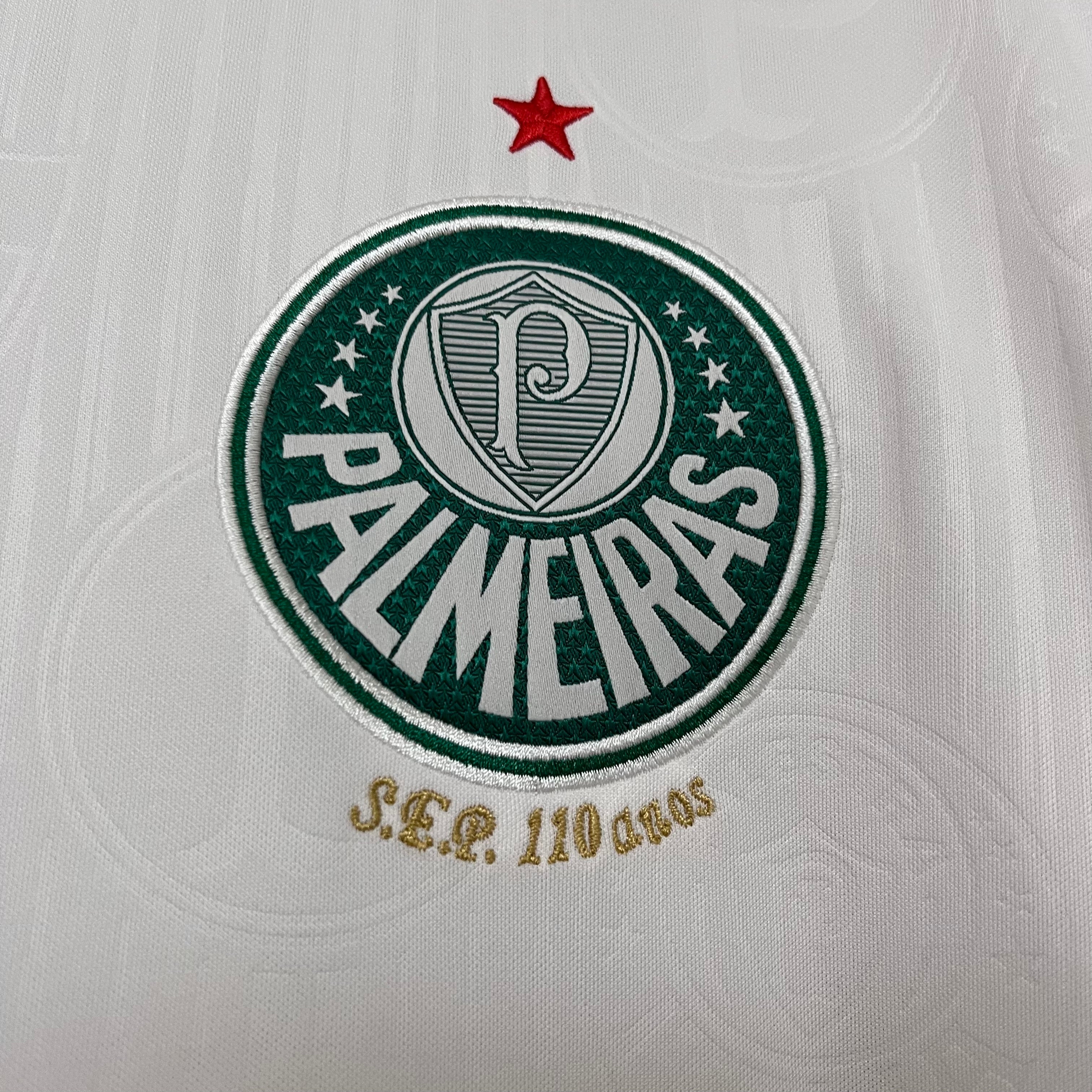 Palmeiras 2025/26