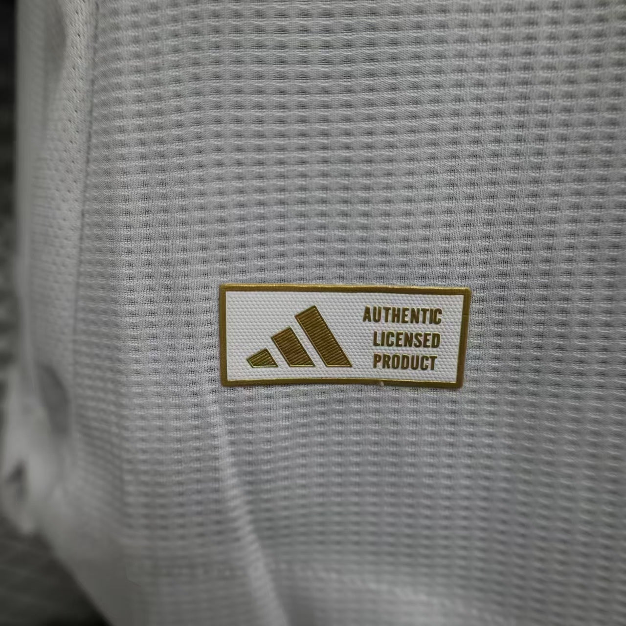 Aston Villa Versão Jogador 2024/25