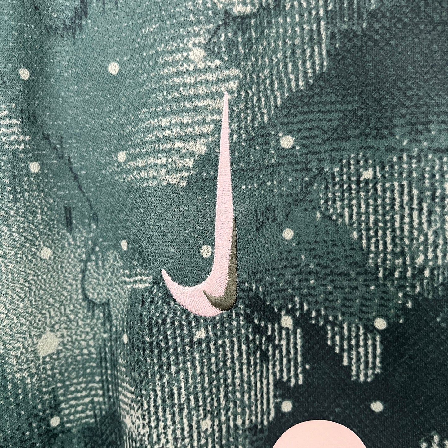 Tottenham Hotspur 2024/25