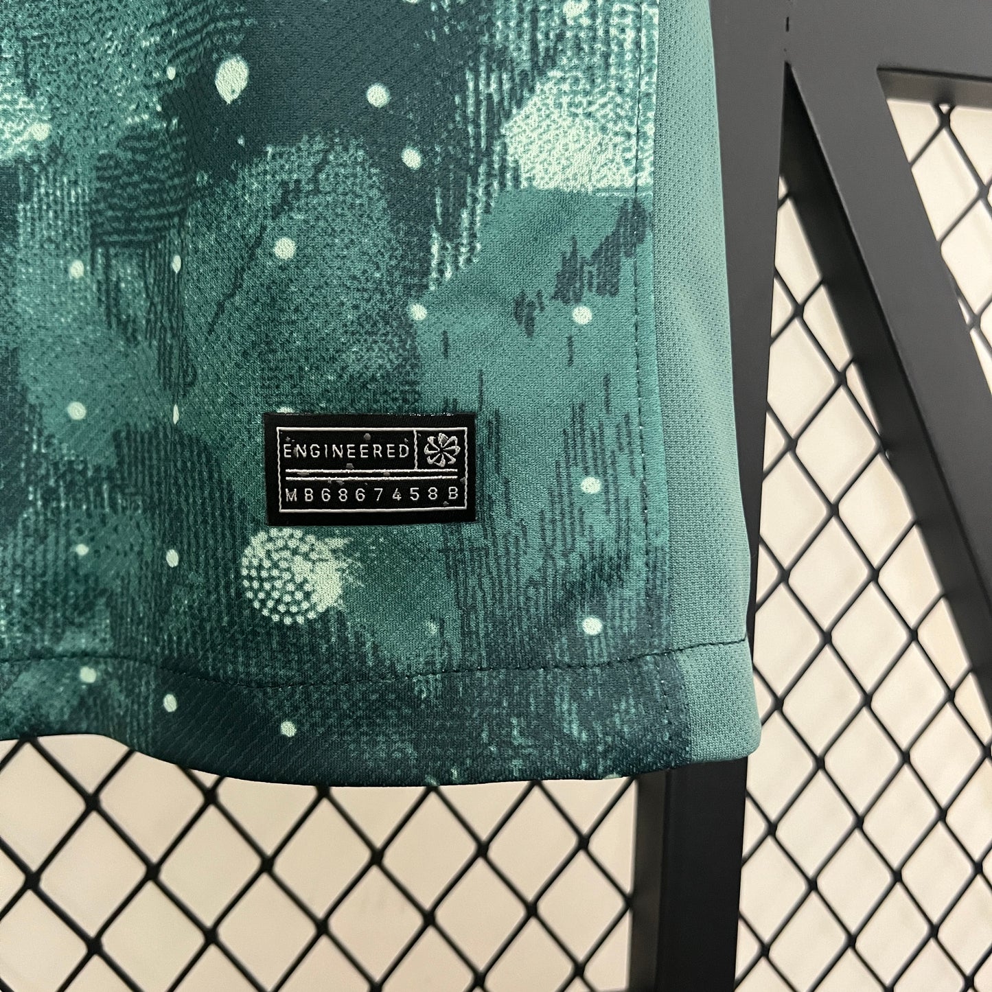 Tottenham Hotspur 2024/25