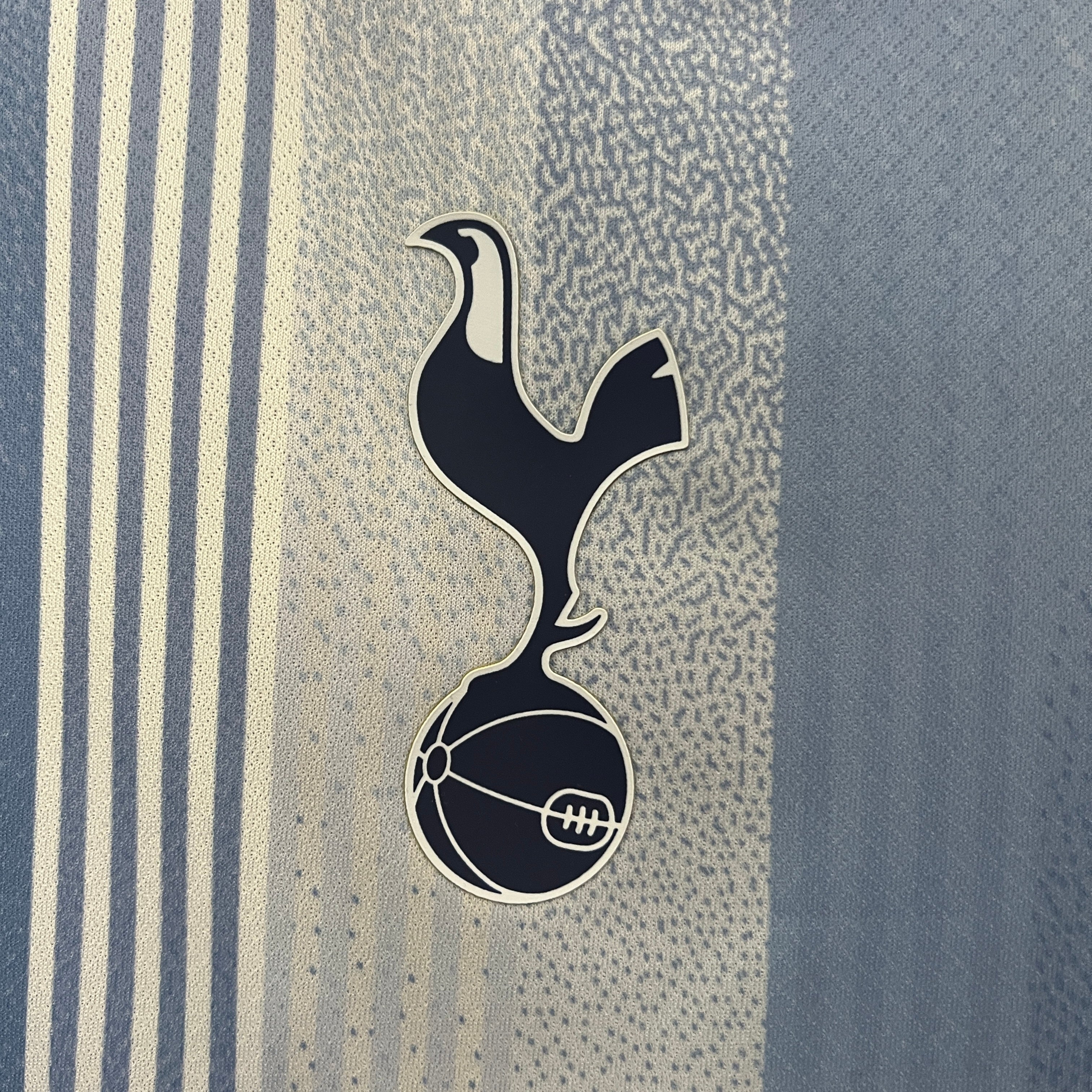 Tottenham Hotspur 2024/25