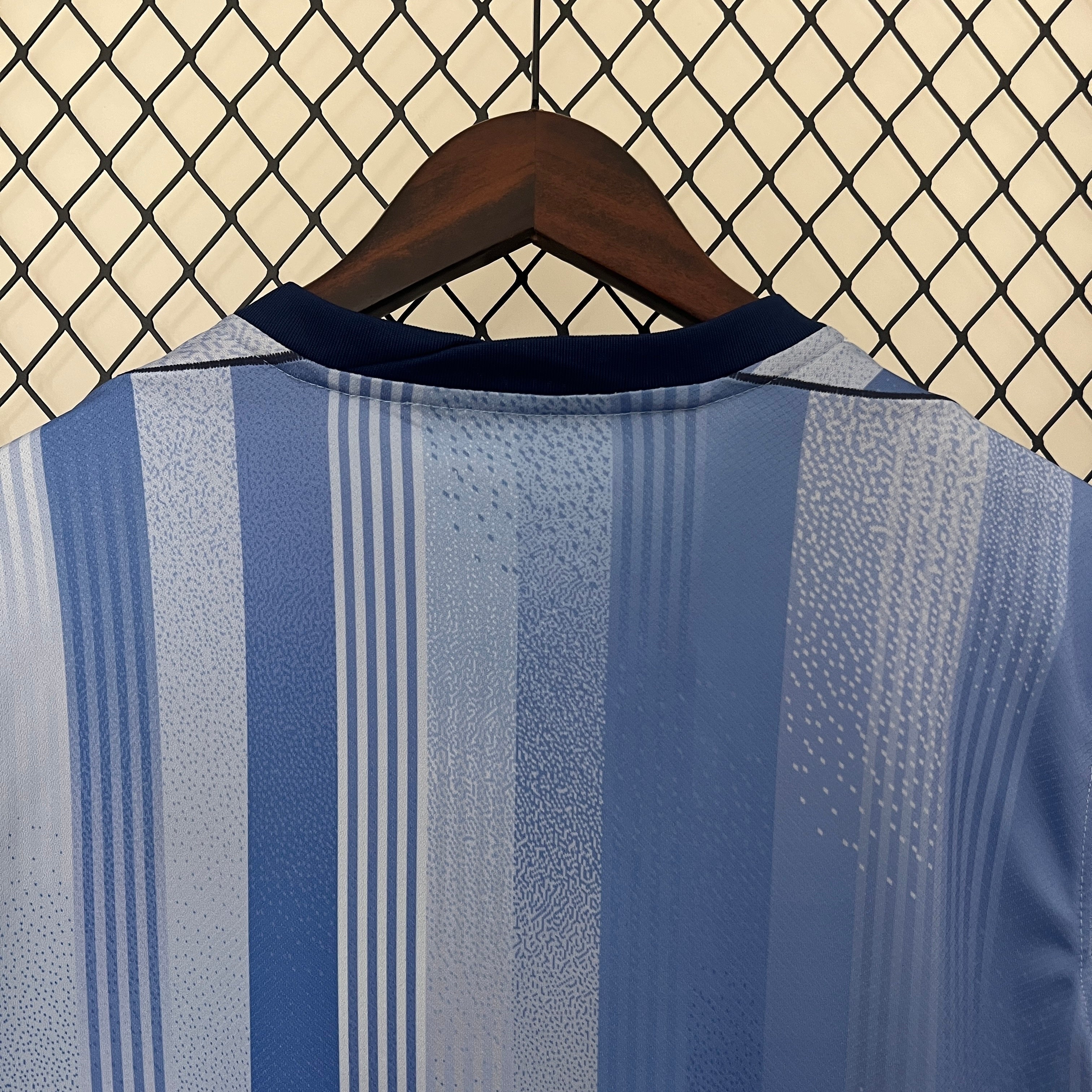 Tottenham Hotspur 2024/25