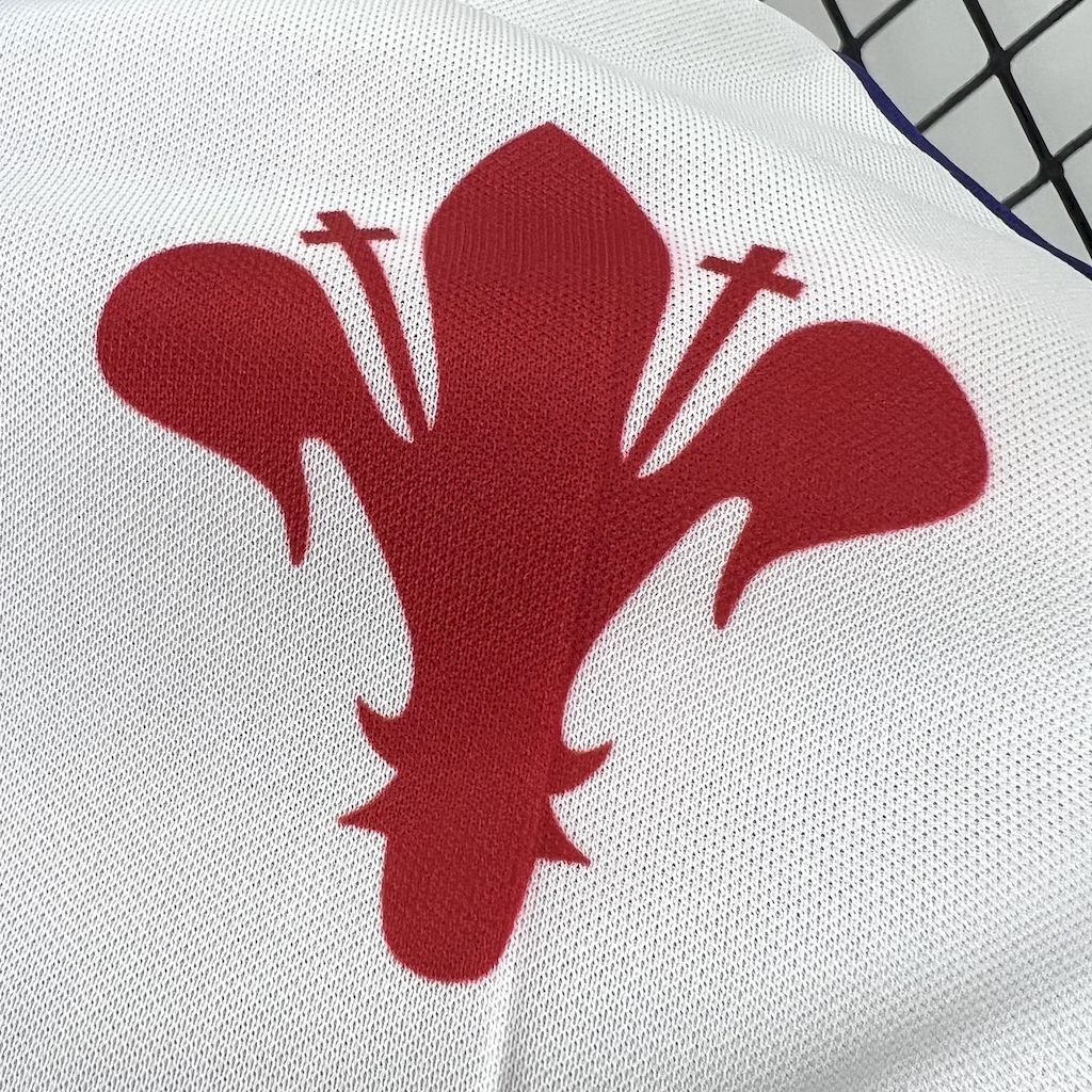 Fiorentina Retrô 1998/99