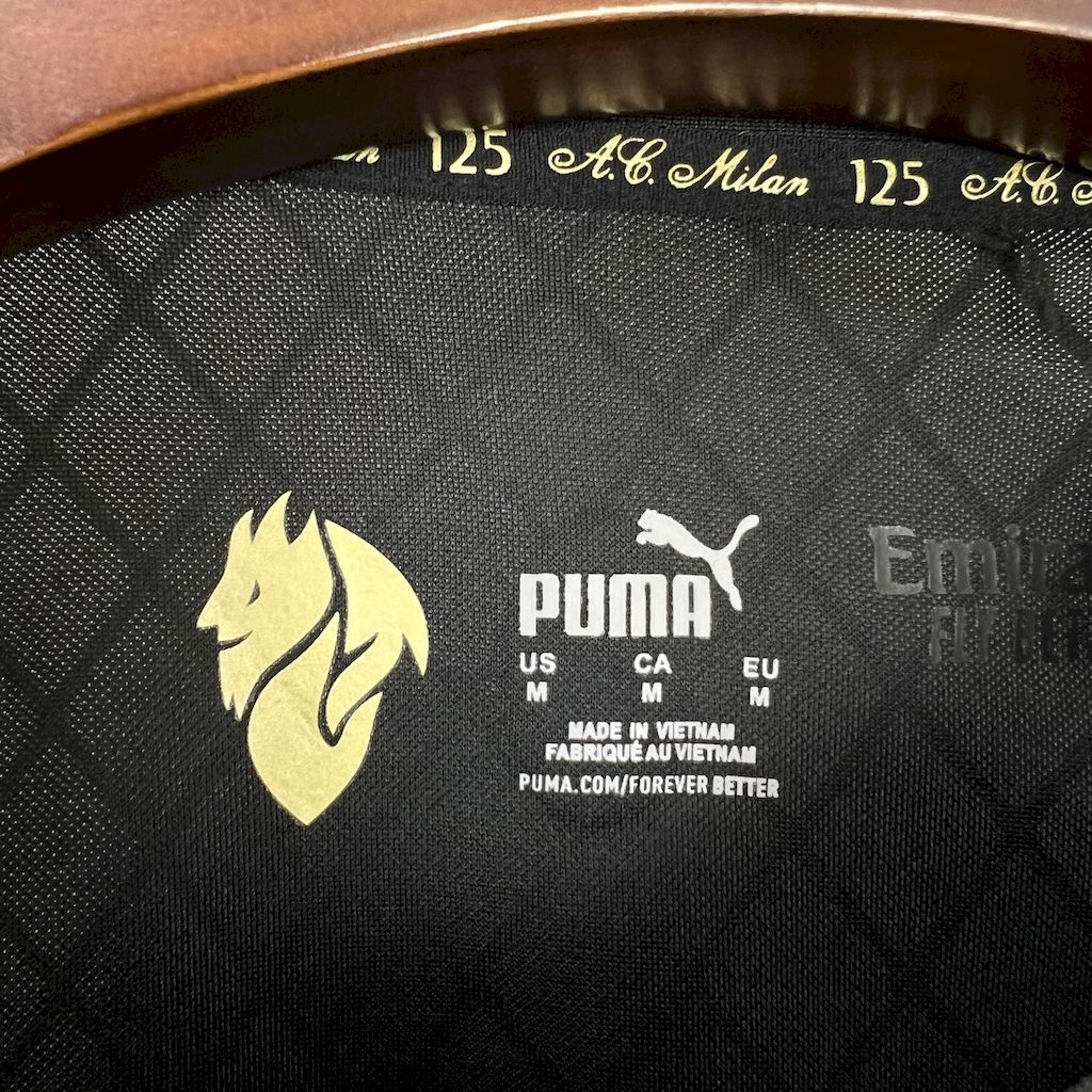 AC Milan goleiro 2024/25