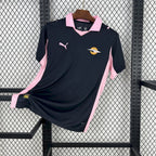 Palermo F.C. 2025/26