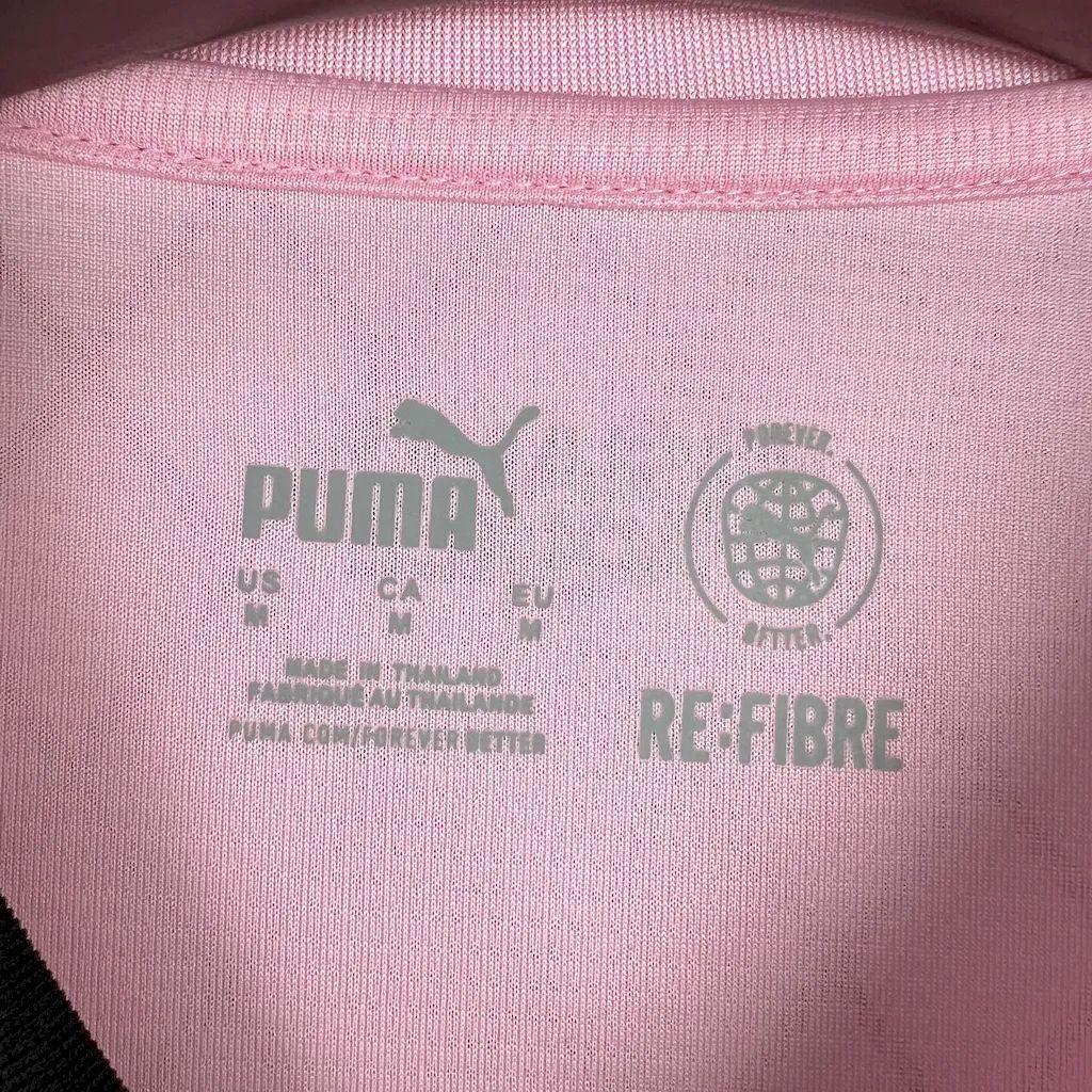 Palermo F.C. 2024/25