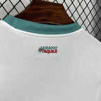 Palermo F.C. 2024/25