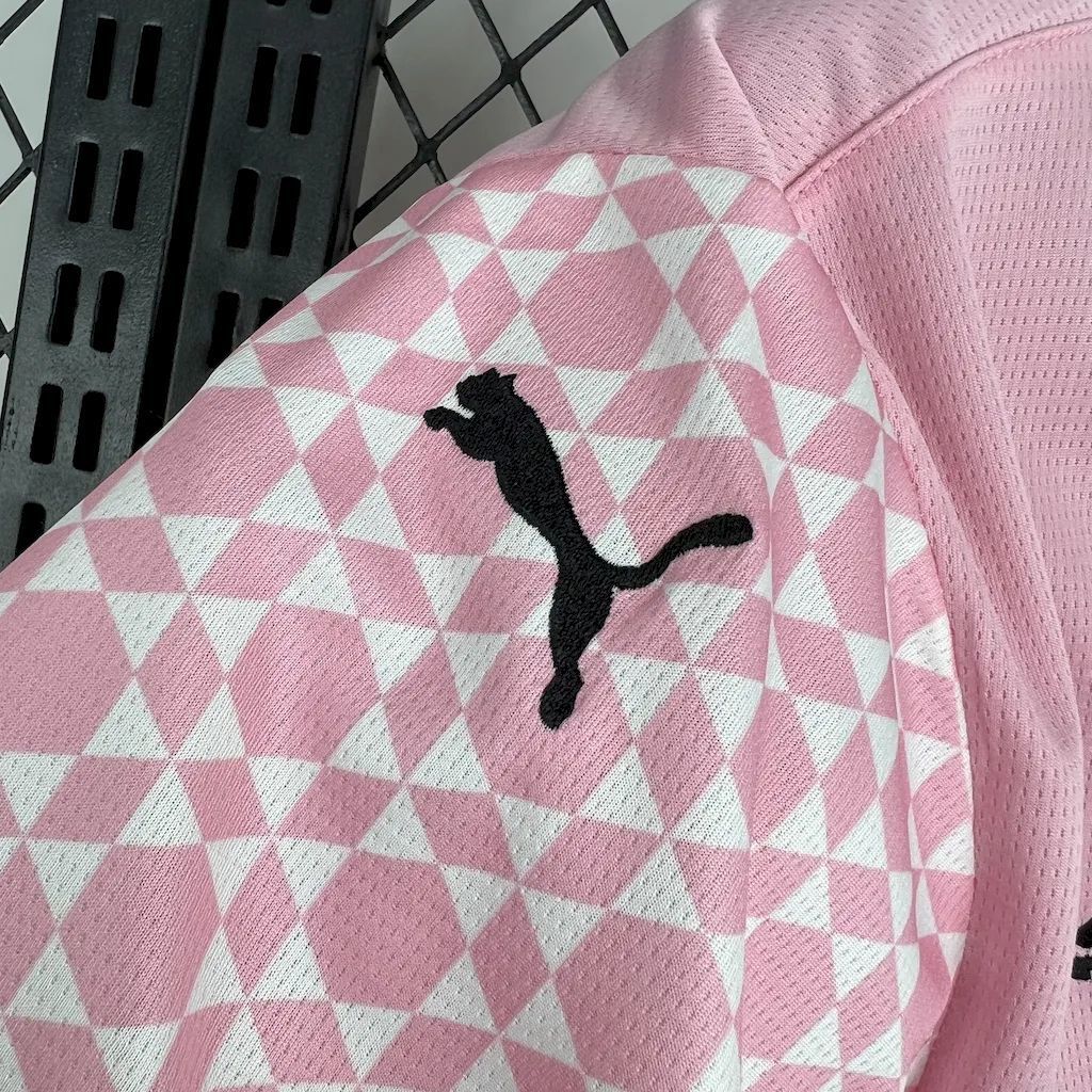 Palermo F.C. 2024/25