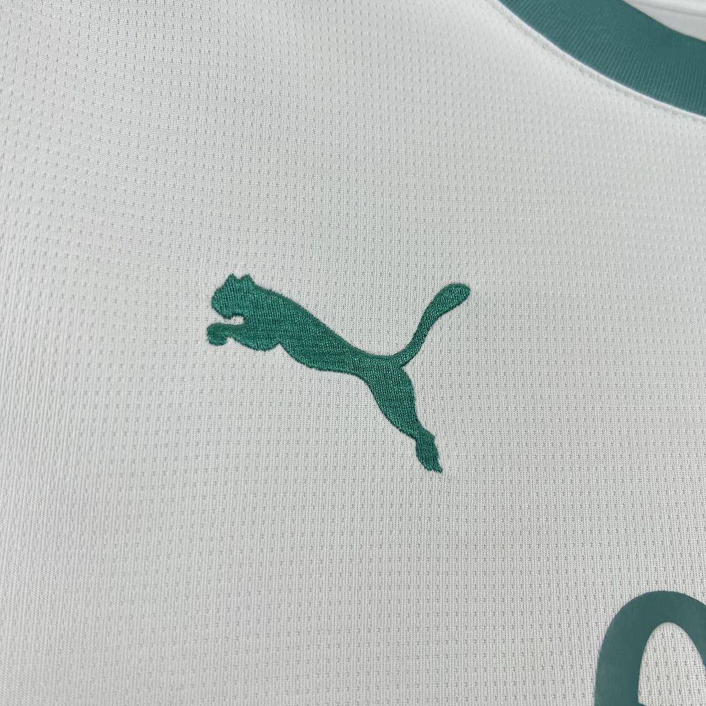 Palermo F.C. 2024/25