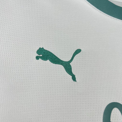 Palermo F.C. 2024/25