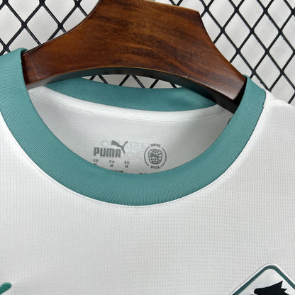 Palermo F.C. 2024/25