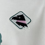 Palermo F.C. 2024/25