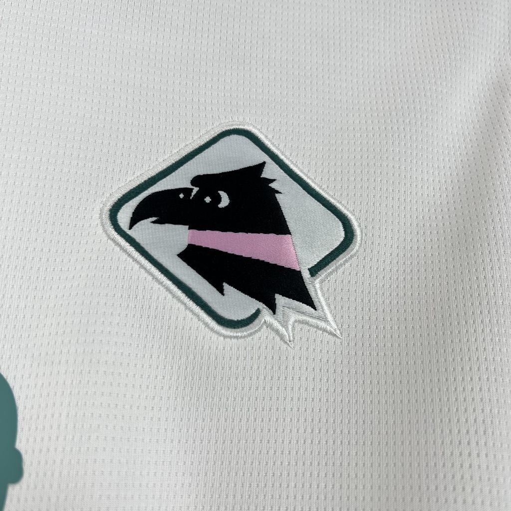 Palermo F.C. 2024/25