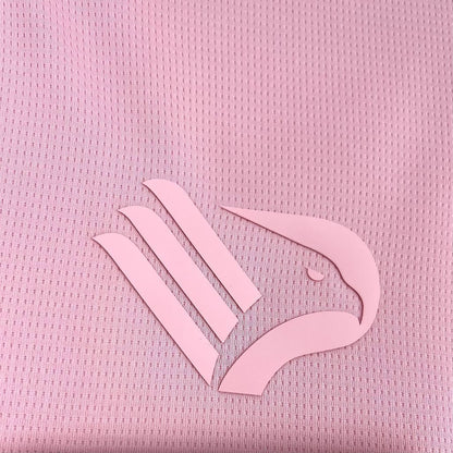 Palermo F.C. 2025/26
