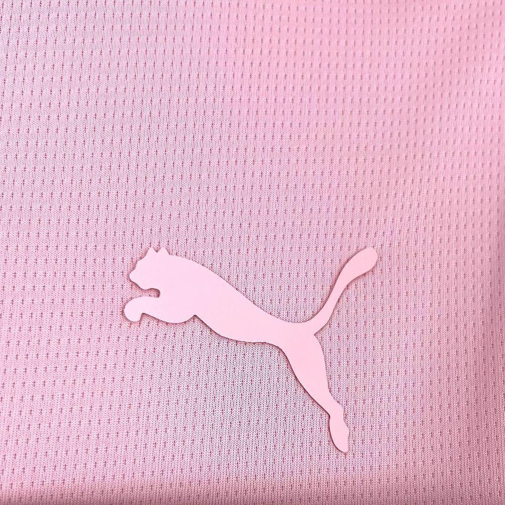 Palermo F.C. 2025/26