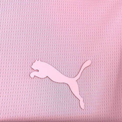 Palermo F.C. 2025/26