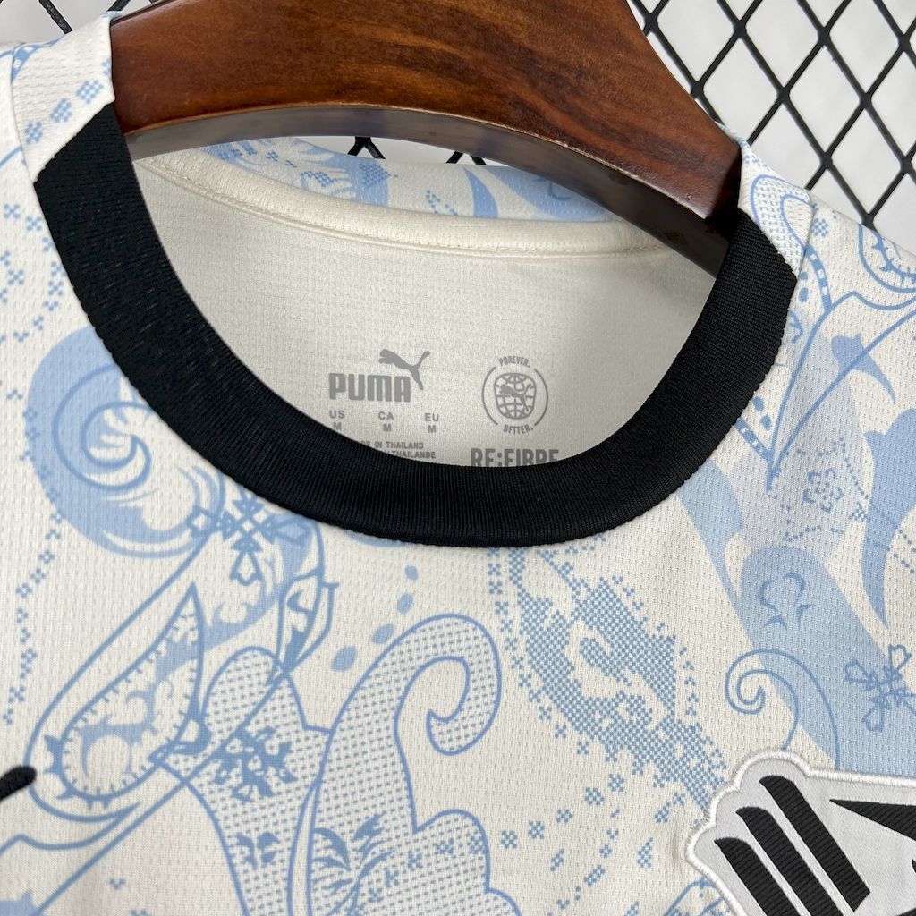 Palermo F.C. 2025/26