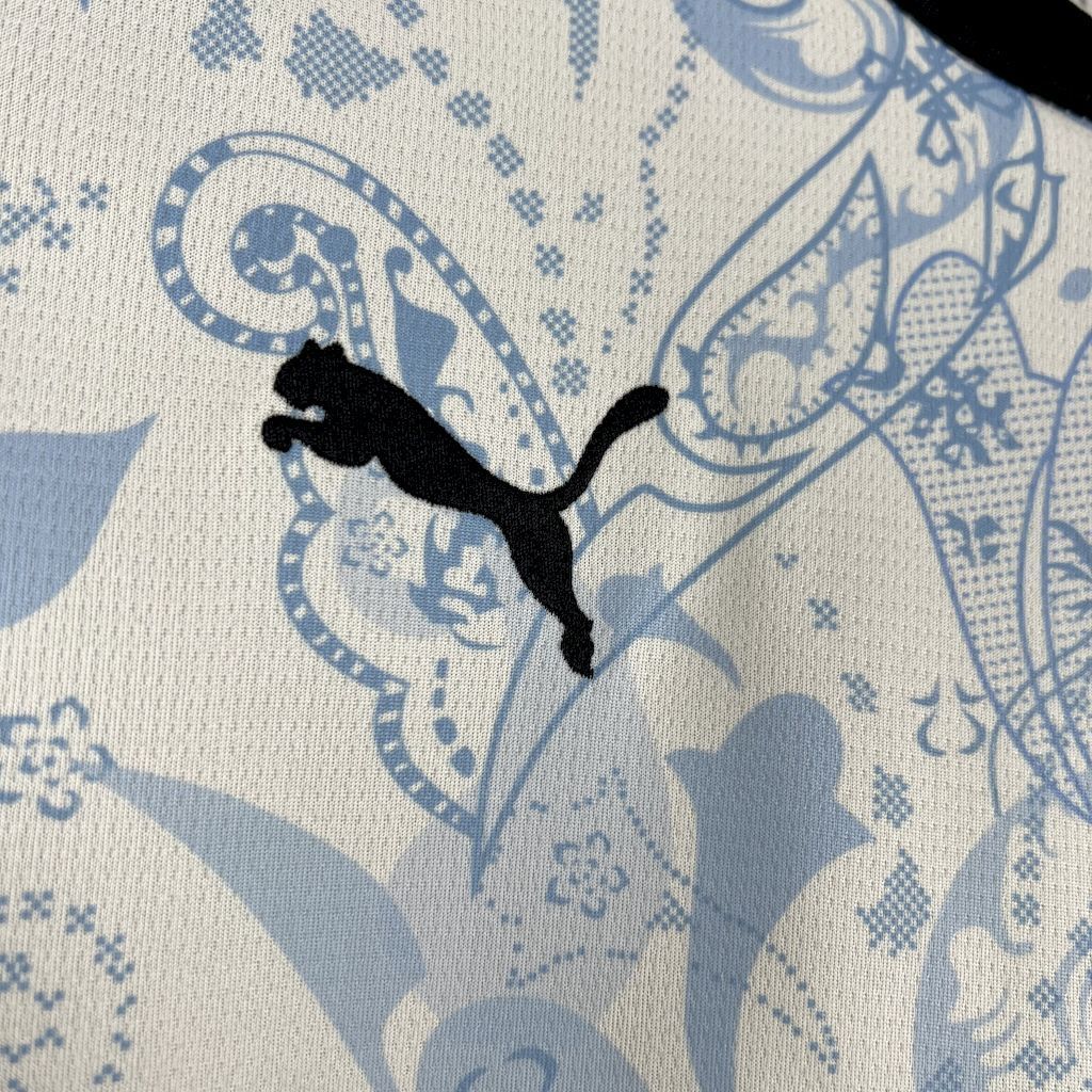 Palermo F.C. 2025/26