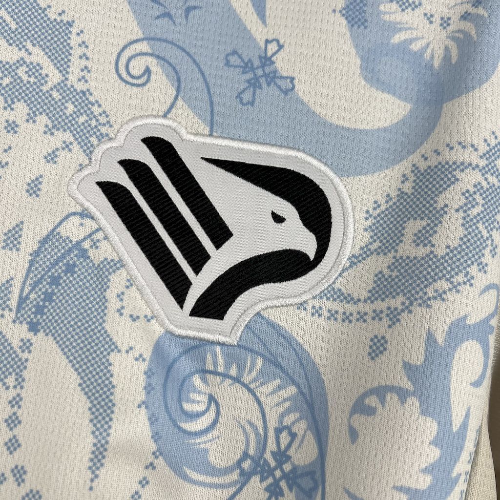 Palermo F.C. 2025/26