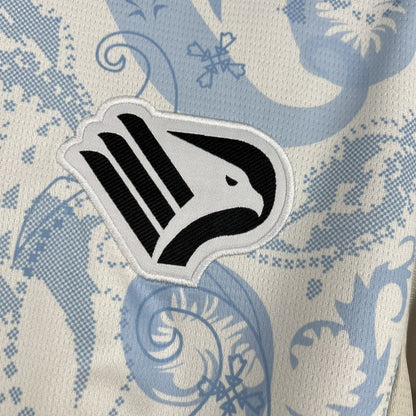 Palermo F.C. 2025/26