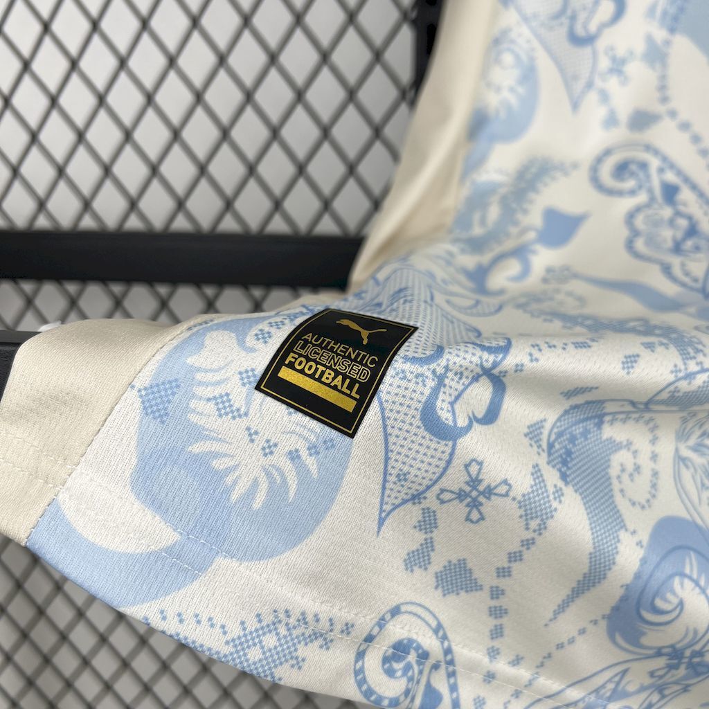 Palermo F.C. 2025/26