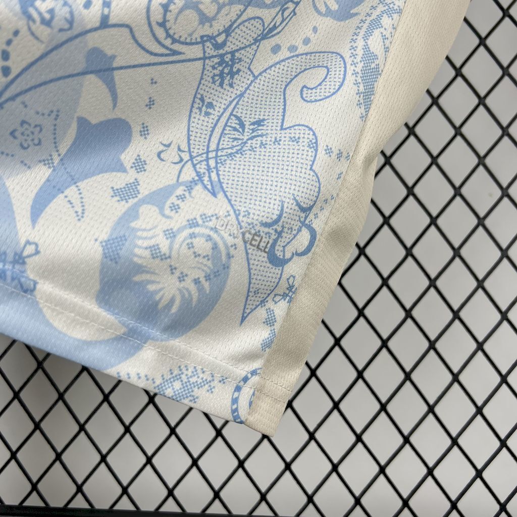 Palermo F.C. 2025/26