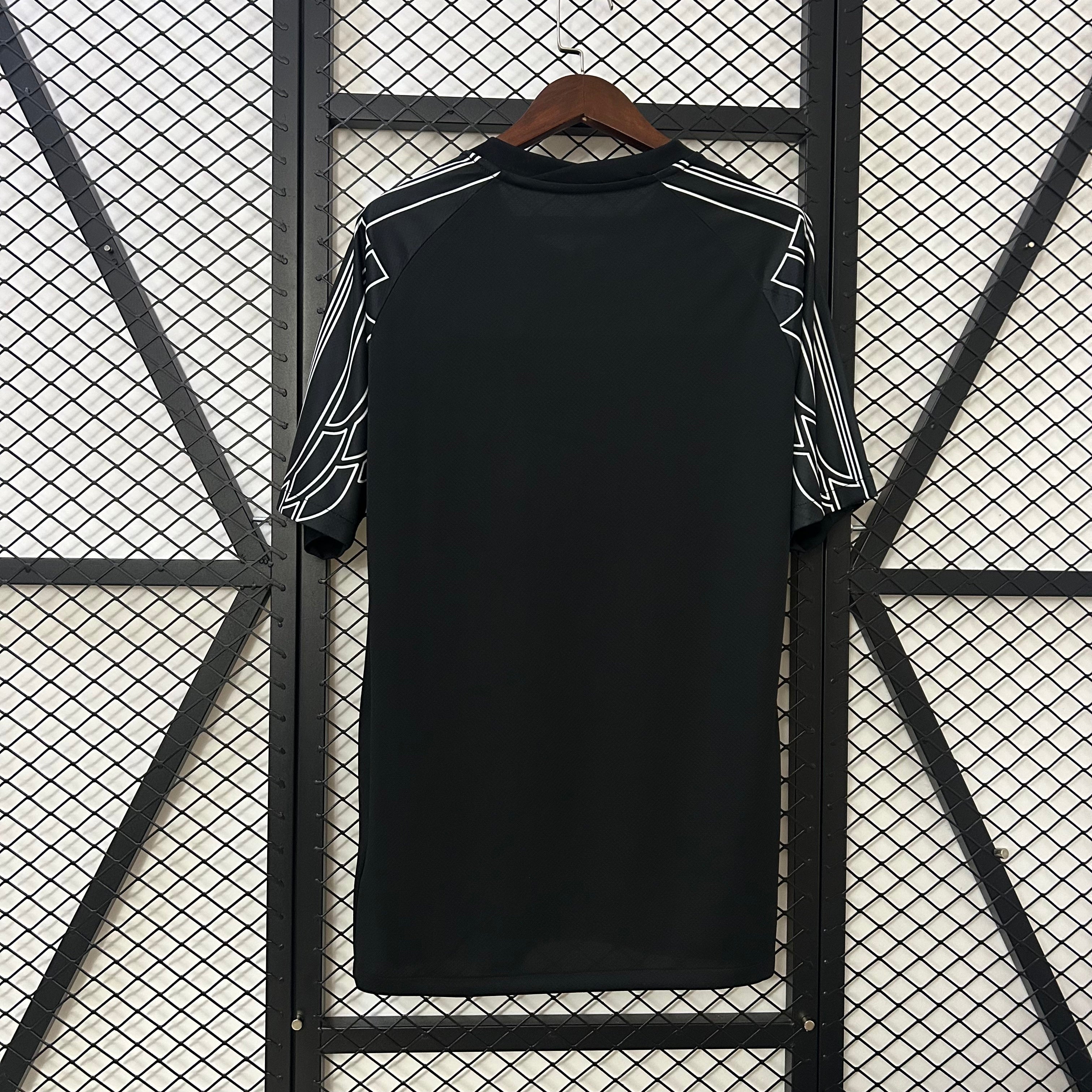 Paris Saint-Germain 2024/25